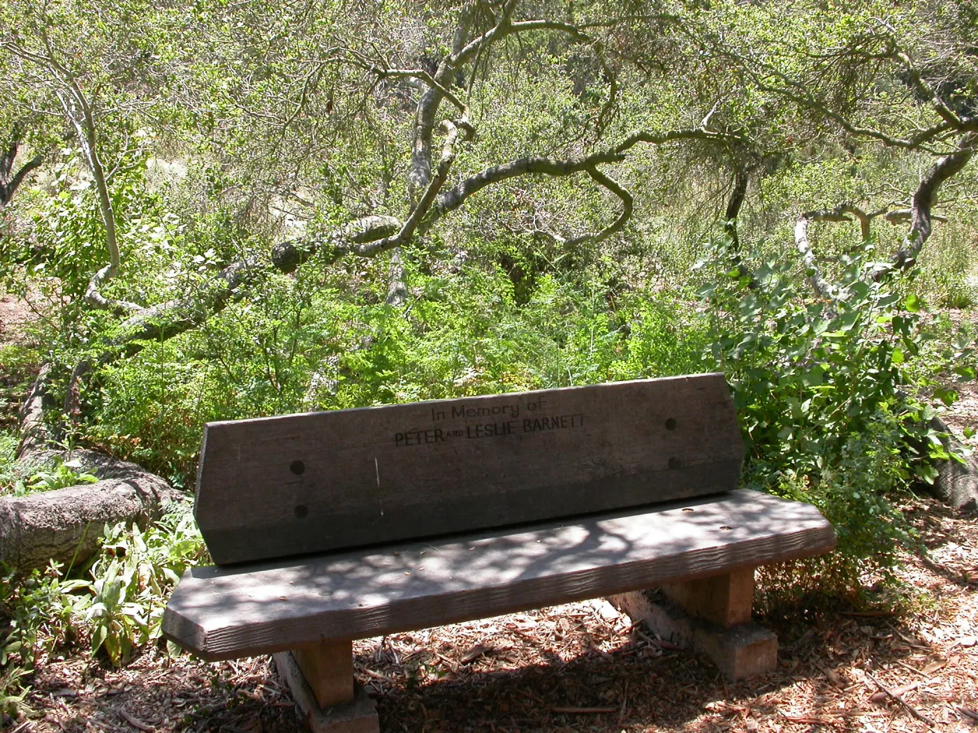 Barnett Bench (Bench #11)