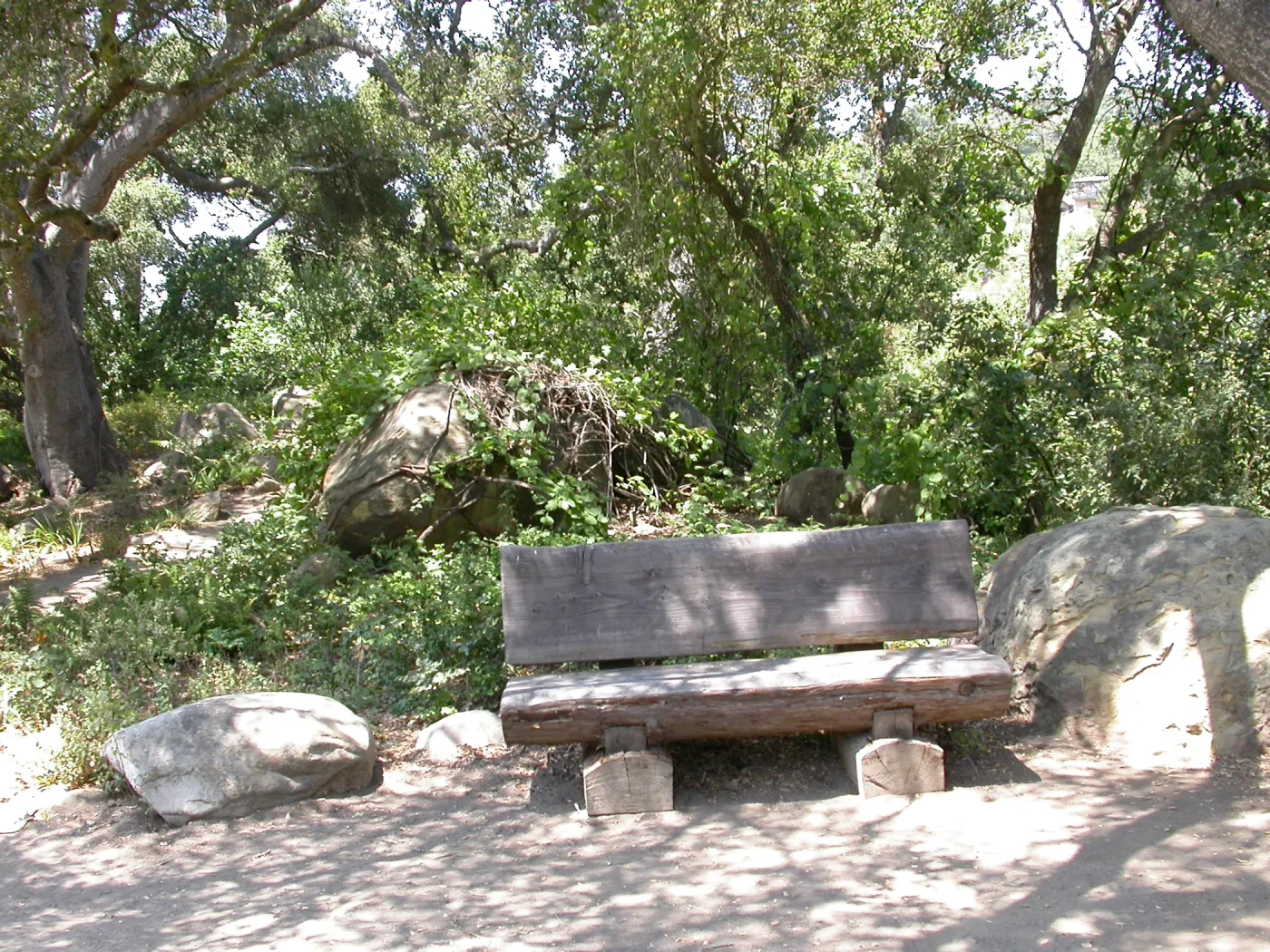 Canterbury Bench (Bench #13)