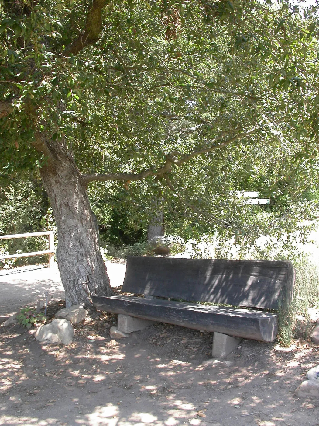 Gross Bench (Bench #15) ?