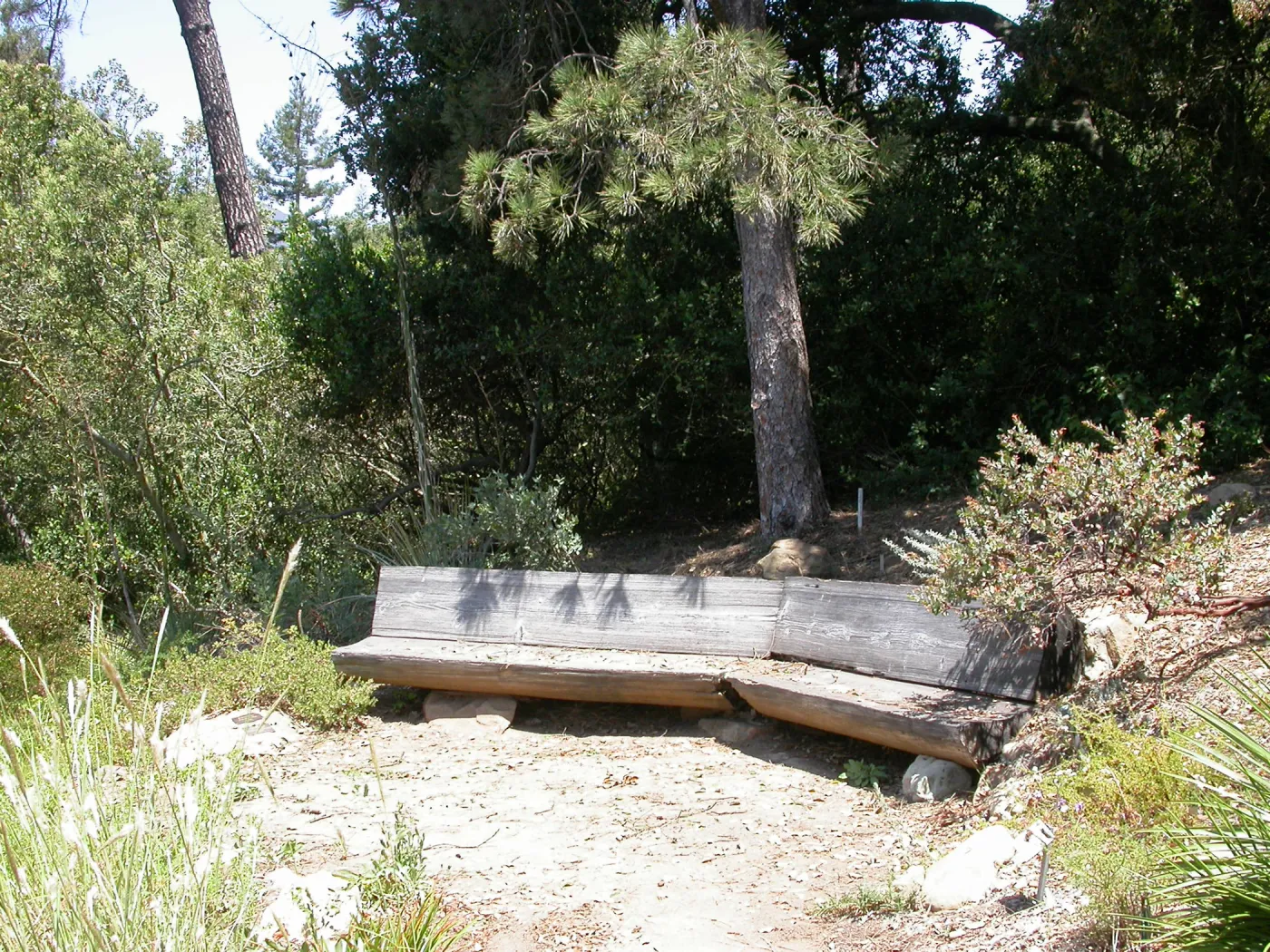 Conn Bench in the Meadow View (Bench #16)
