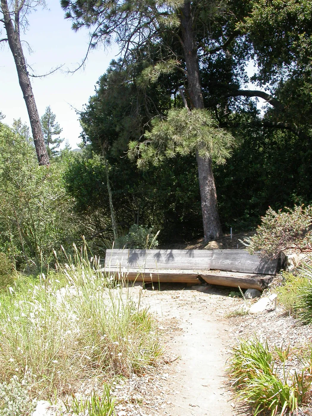 Conn Bench in the Meadow View (Bench #16)