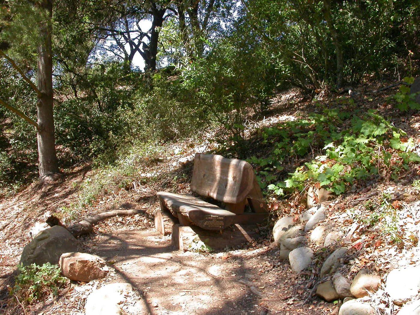 Overeem Bench (Bench #44)