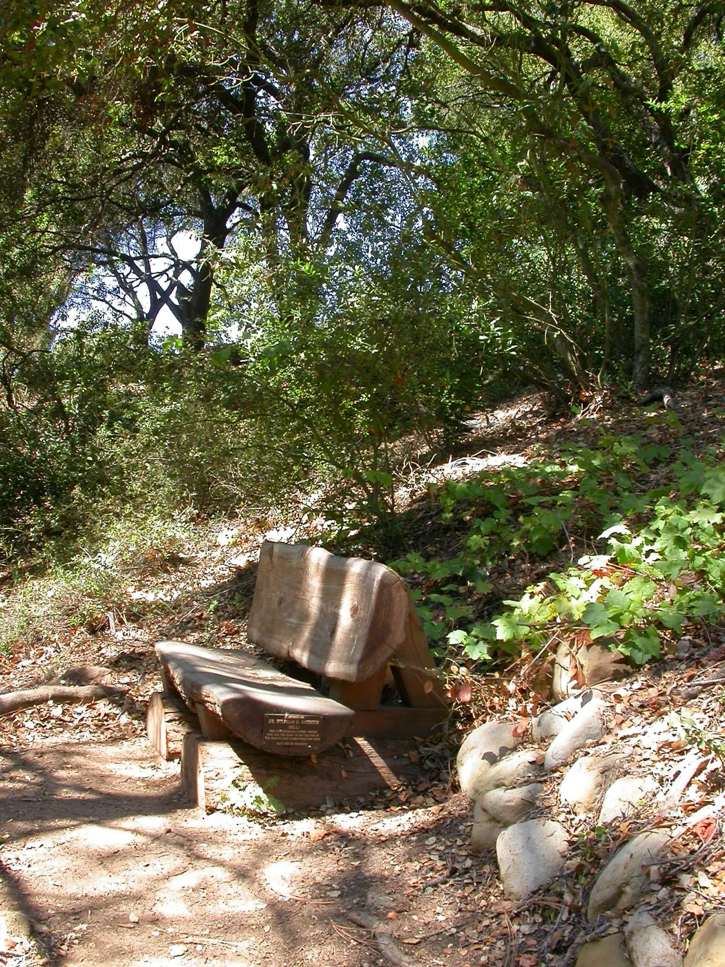 Overeem Bench (Bench #44)