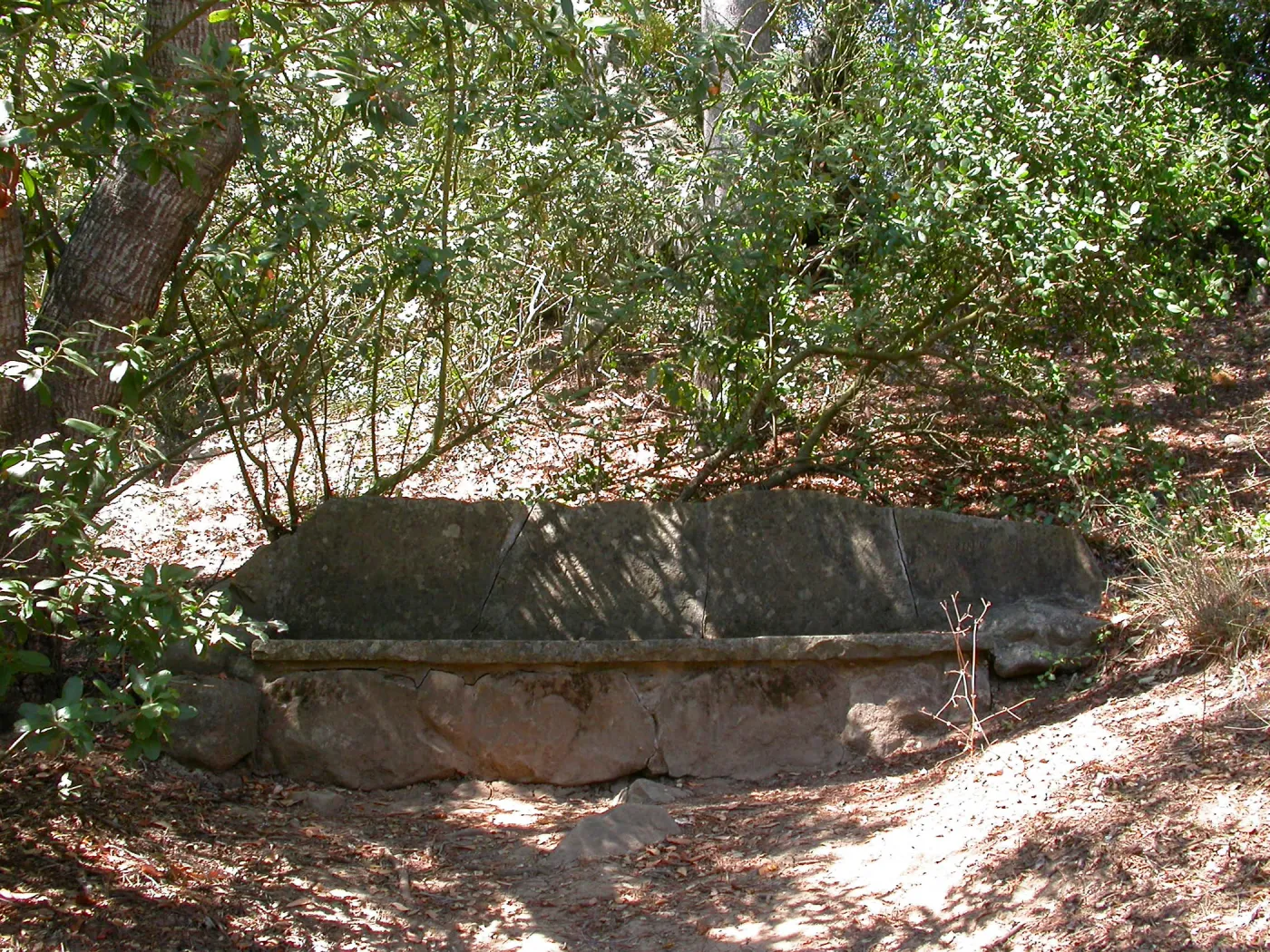 Kenward Bench (Bench #45)