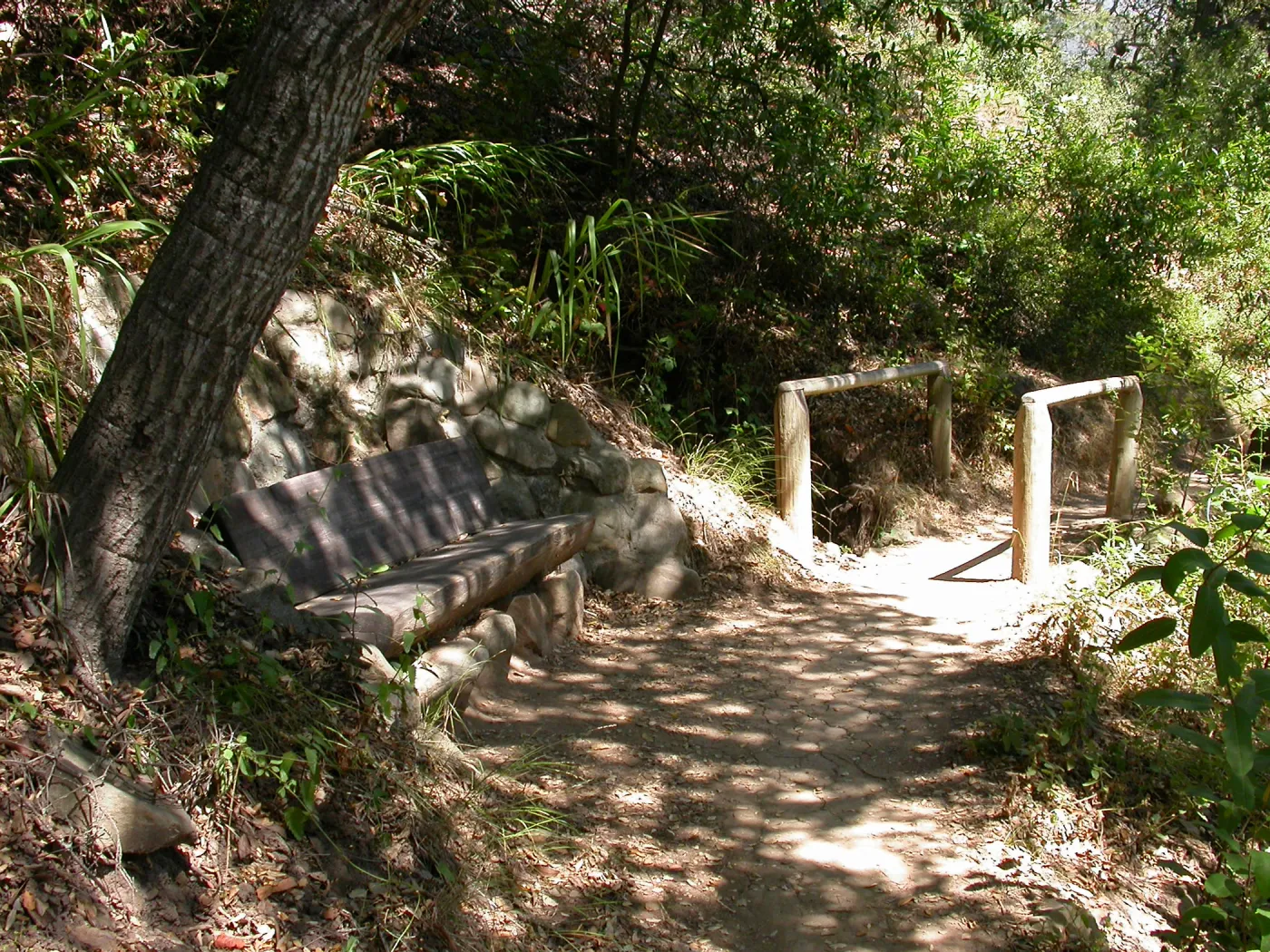 Easton Bench in the Island Section (Bench #46)
