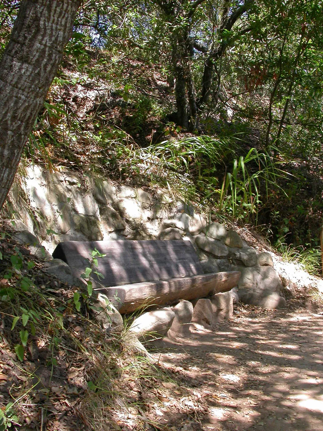 Easton Bench in the Island Section (Bench #46)