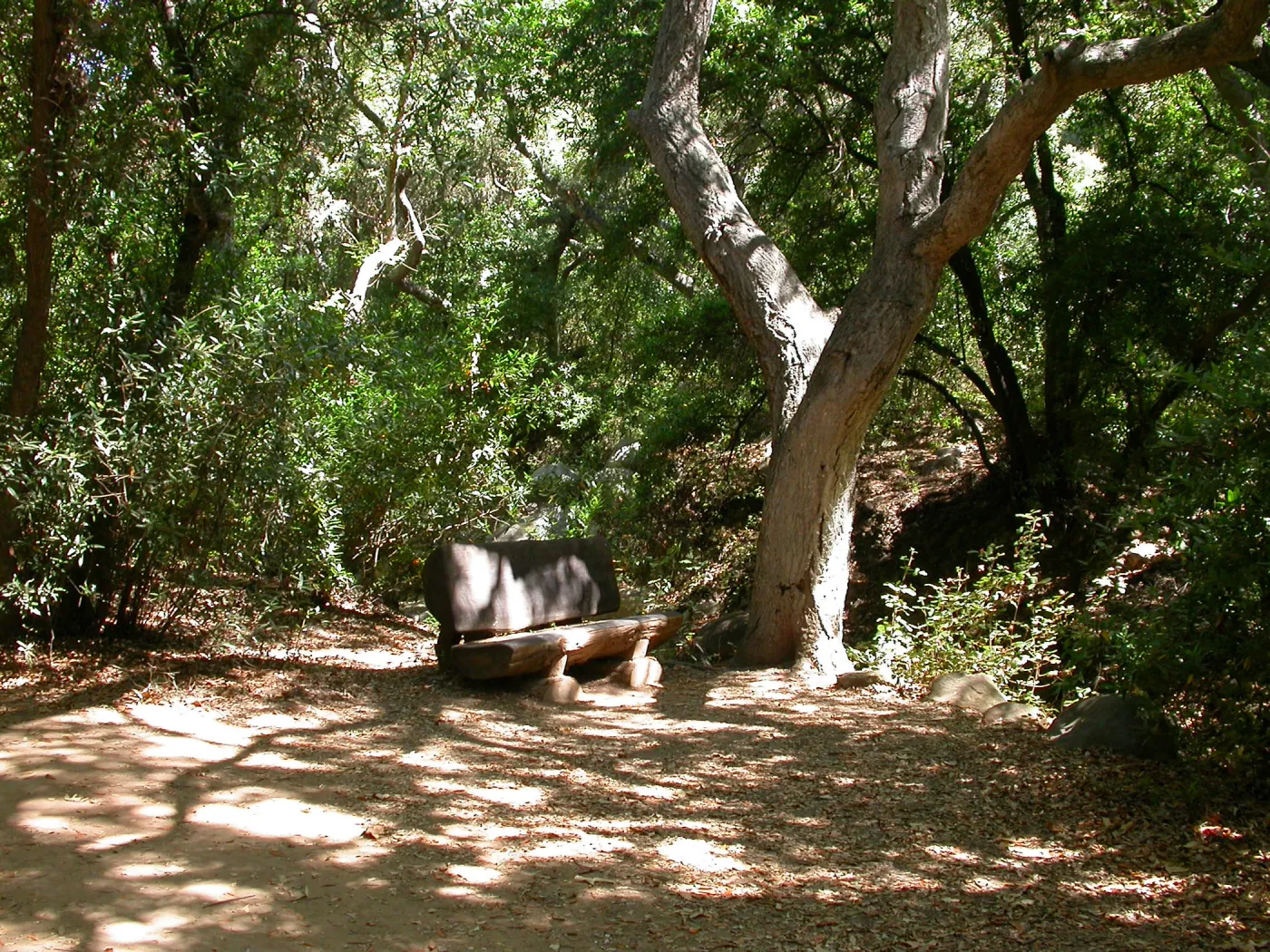 Emanuel Bench (Bench #41)