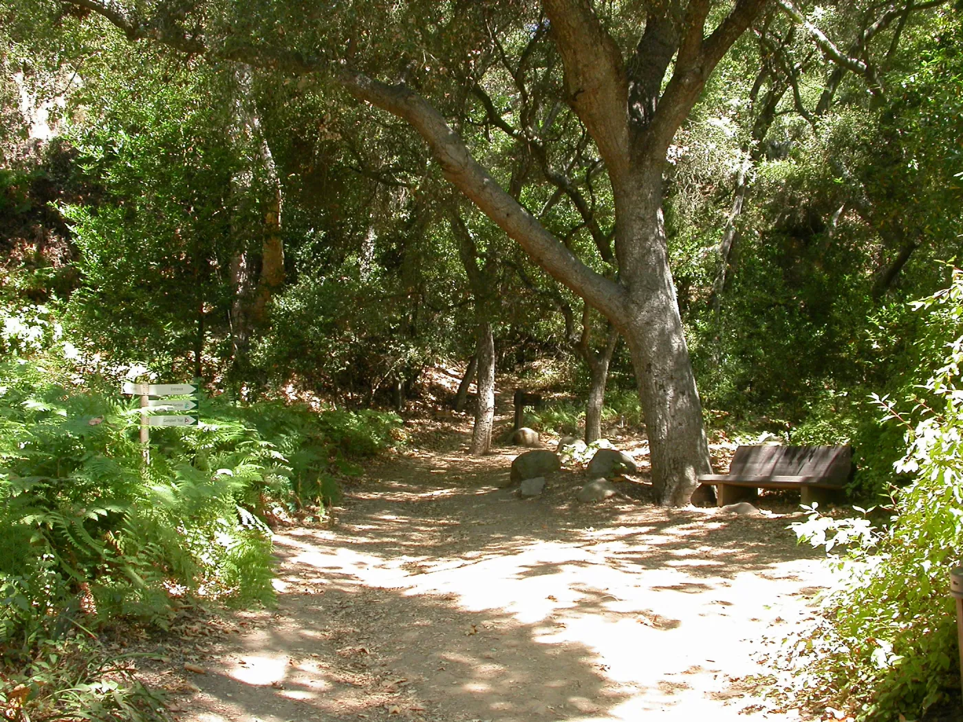 Lane Bench (Bench #36)