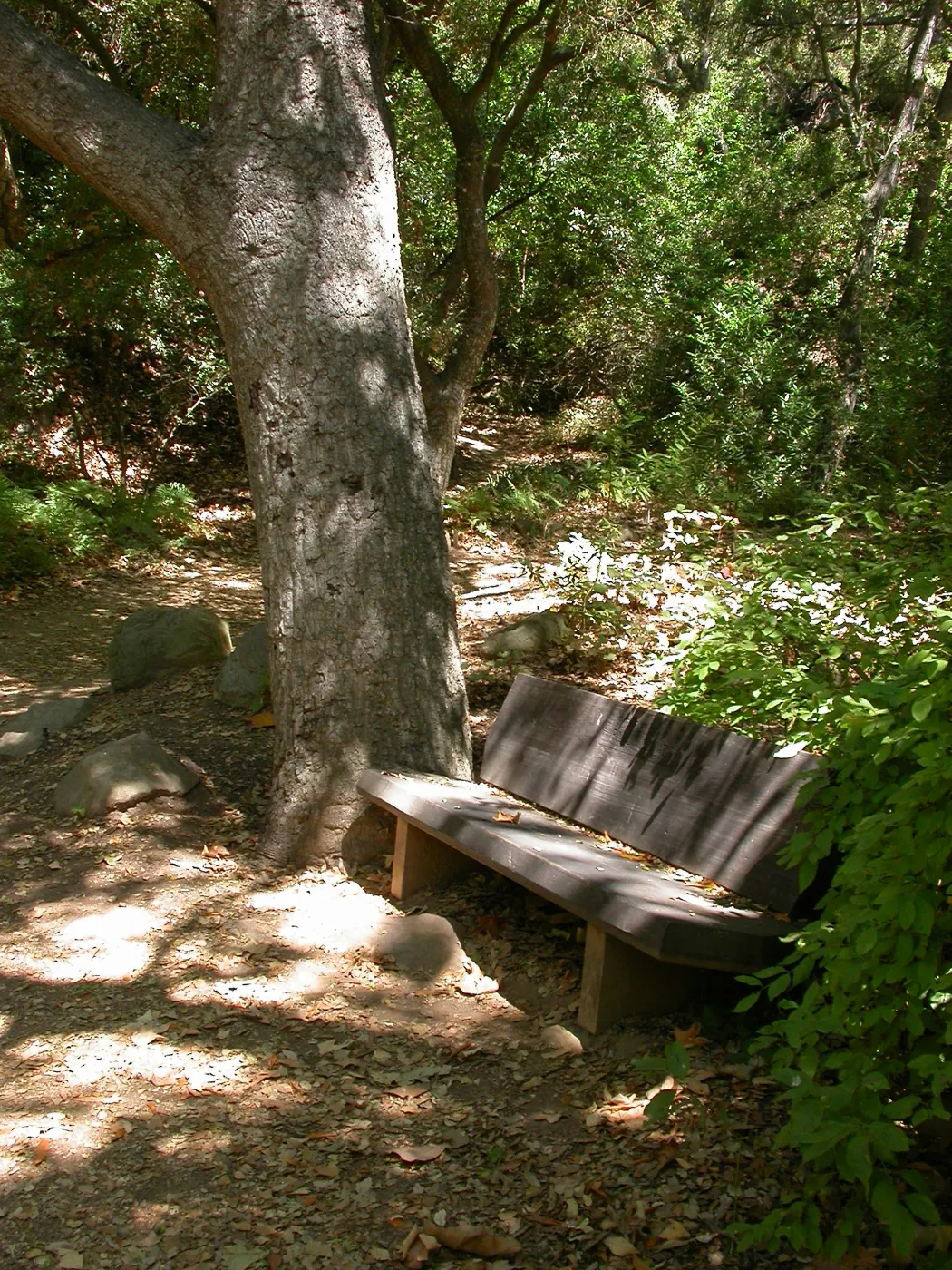 Lane Bench (Bench #36)