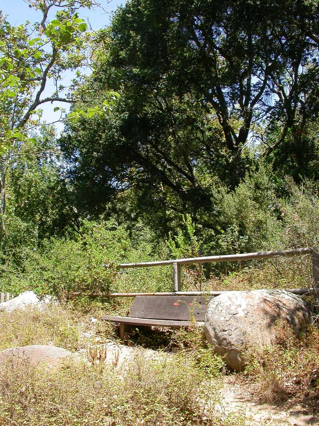 Oatman Bench on Campbell Trail, Picnic Area (Bench #23)