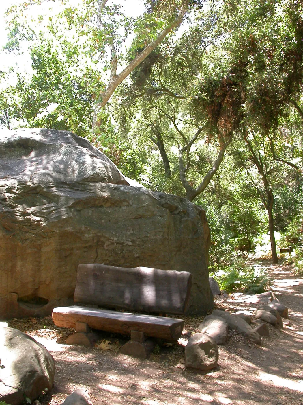 Margolis Bench (Bench #37)