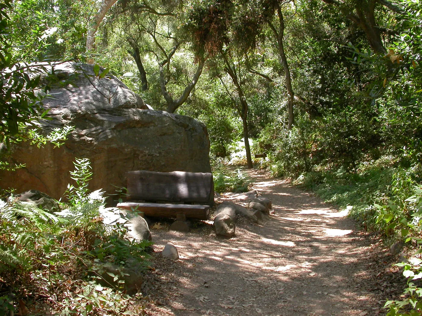 Margolis Bench (Bench #37)