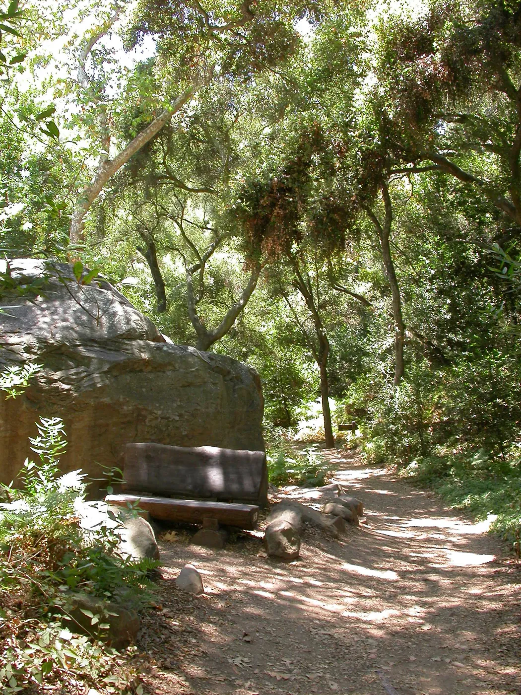 Margolis Bench (Bench #37)