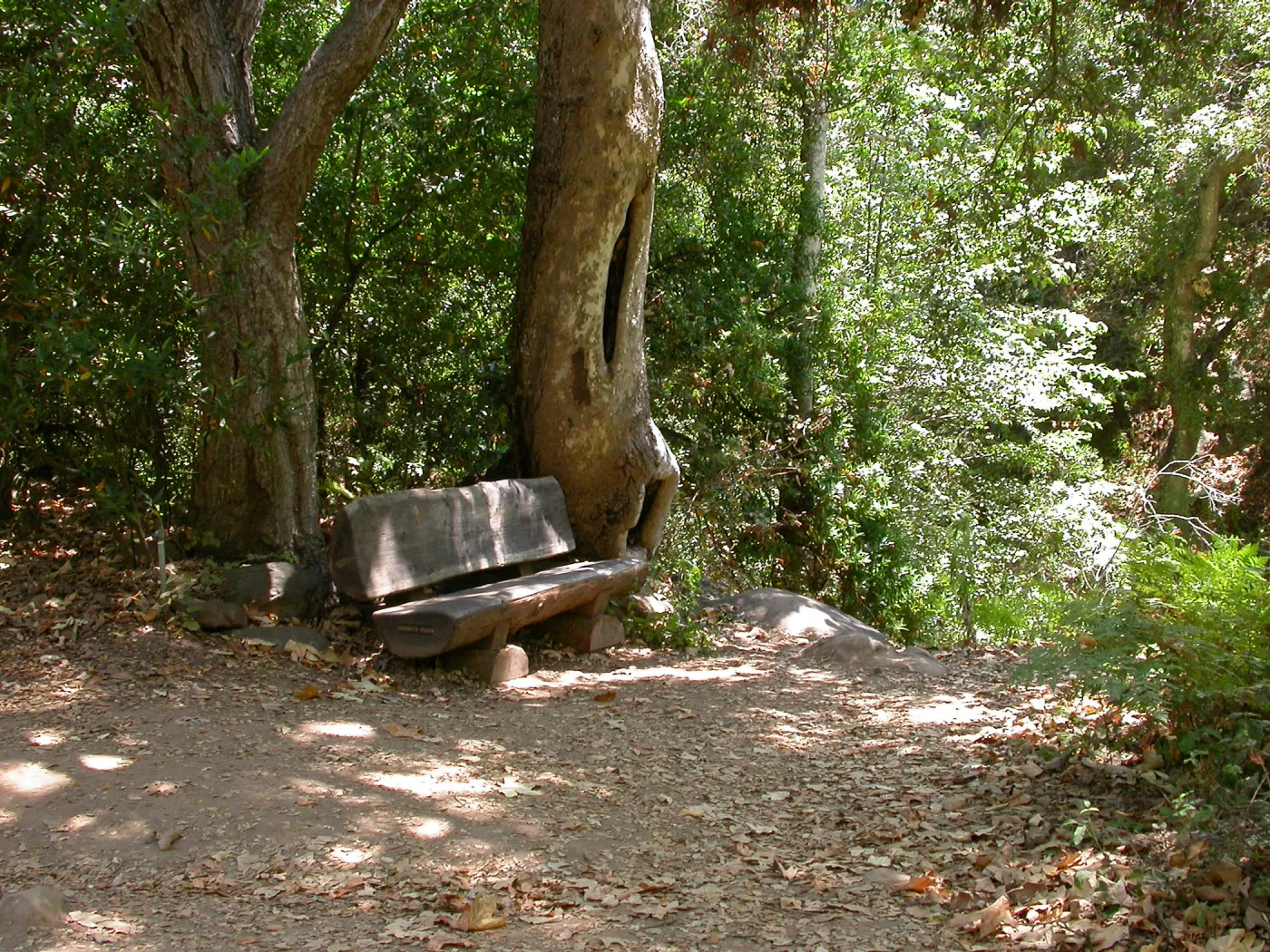 Rogers Bench along Canyon Trail (Bench #38)