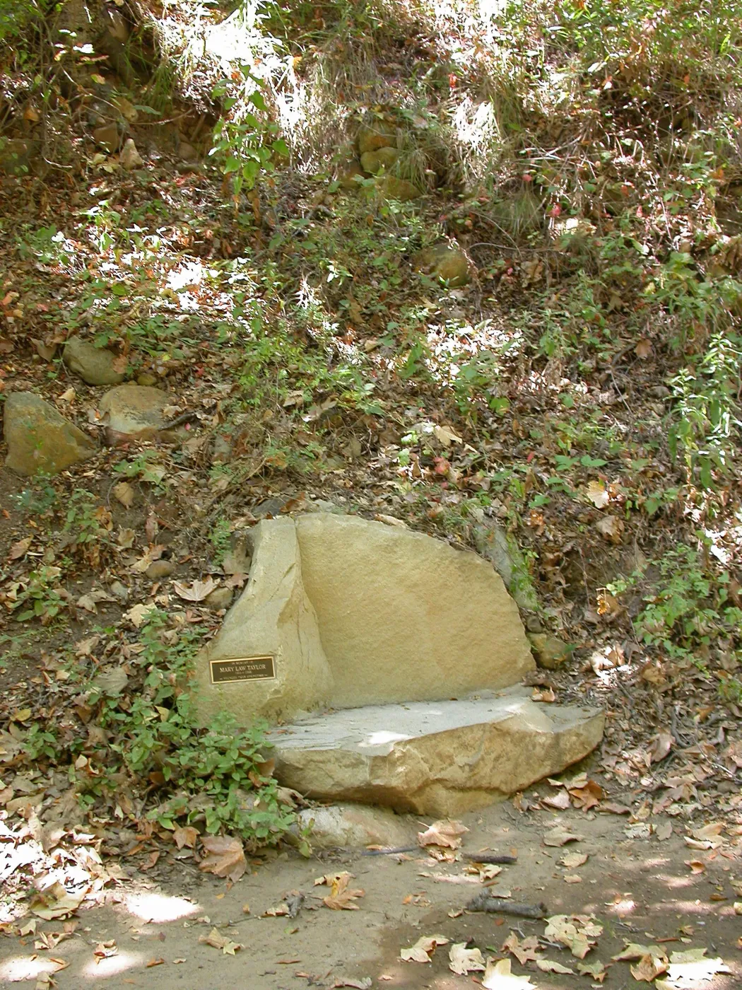 Taylor Bench above Mission Dam (Bench #31)