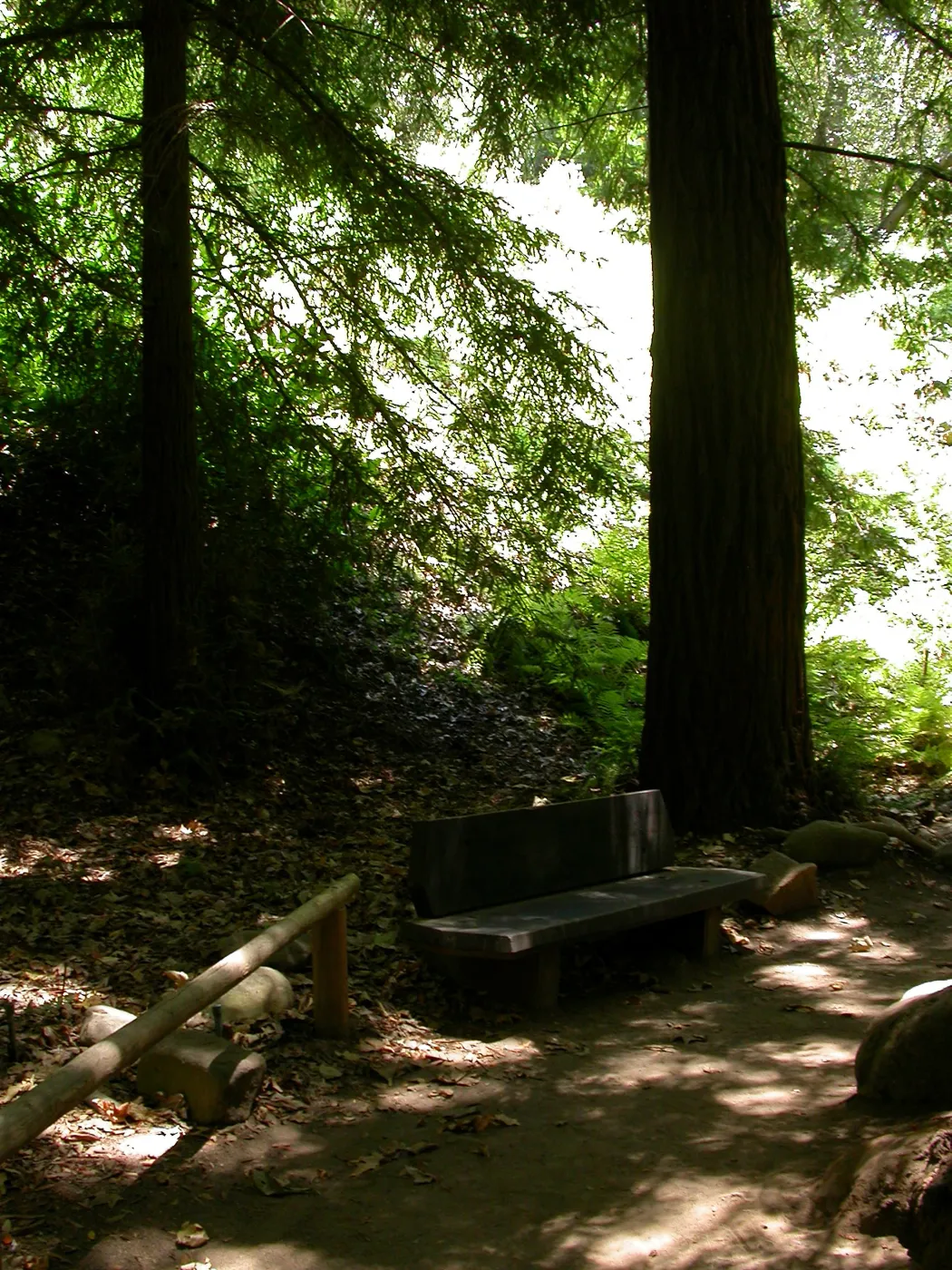 VanSchaick Bench (Bench #30)