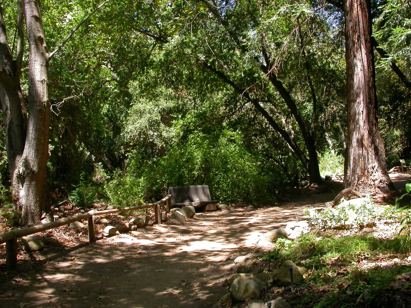 Bliss Bench (Bench #28)