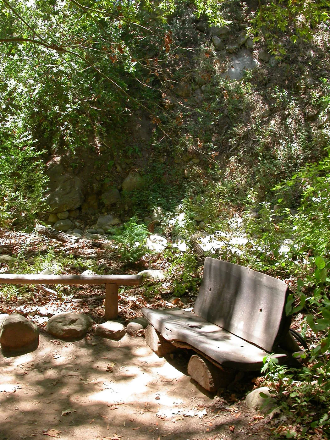 Bliss Bench (Bench #28)