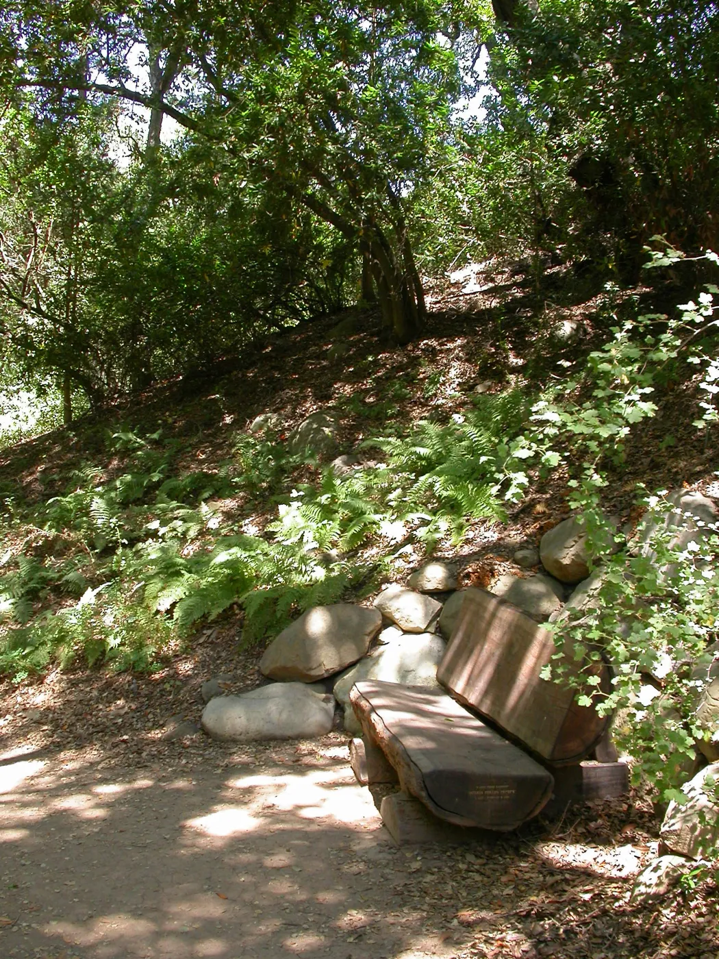 Wentink Bench (Bench #26)