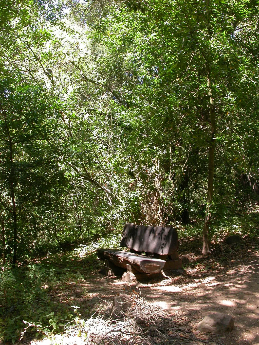 Heaney Bench (Bench #27)
