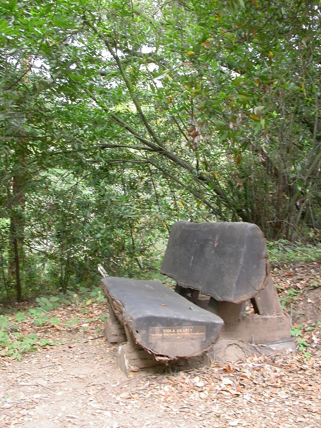 Heaney Bench (Bench #27)