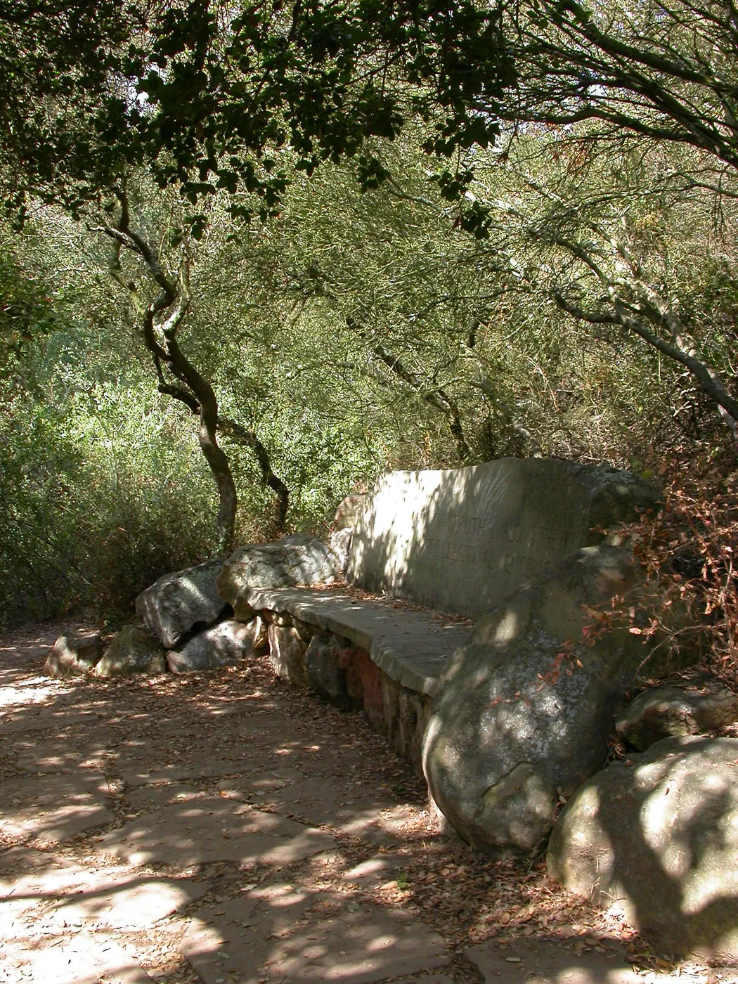 Pritchett Bench (Bench #34)