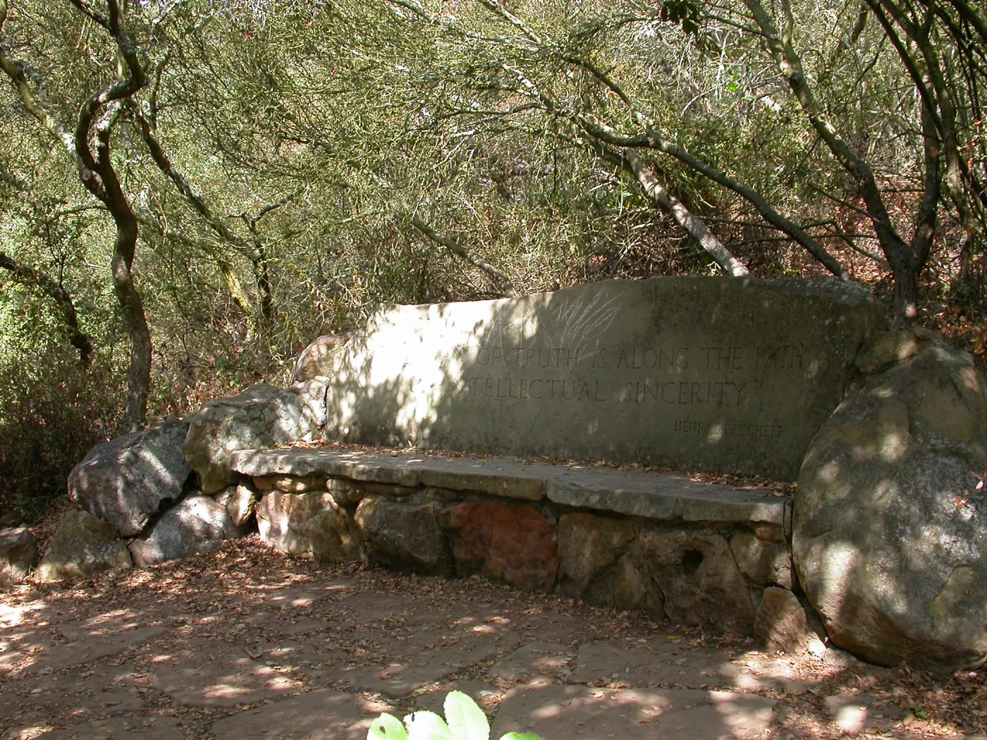 Pritchett Bench (Bench #34)