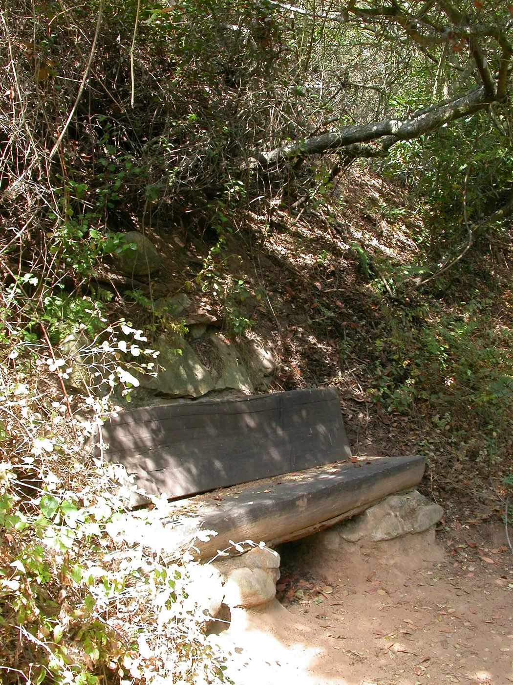 Janeway Bench (Bench #35)