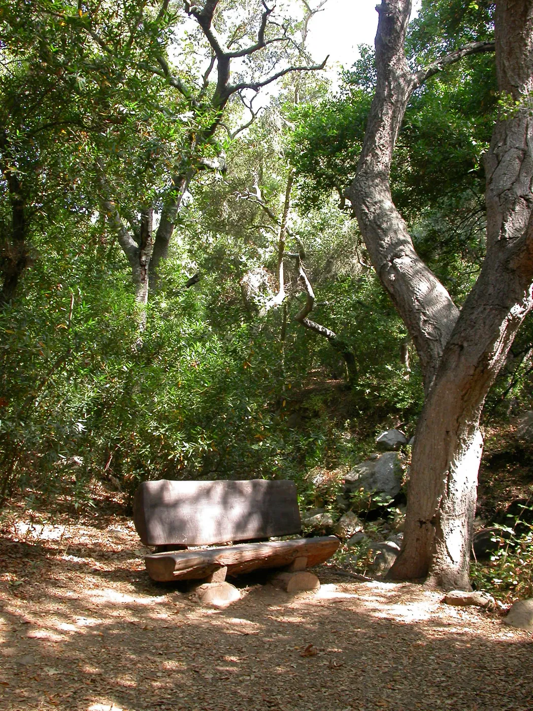 Emanuel Bench (Bench #41)