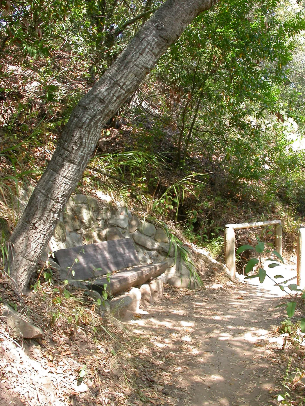 Easton Bench in Island Section
