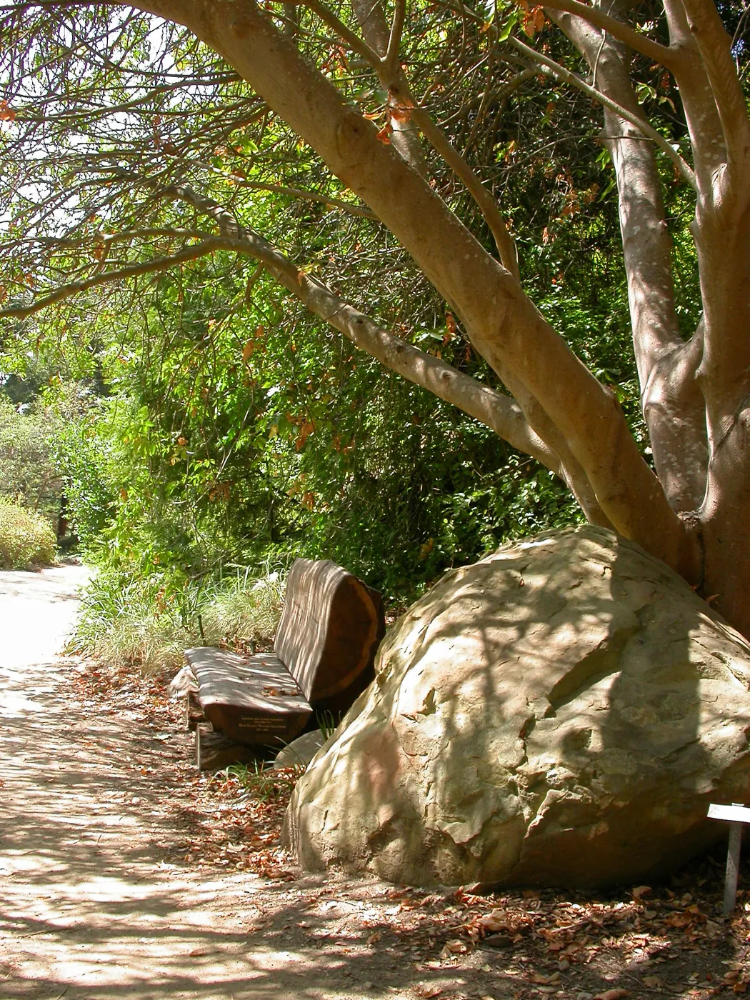 Kahlstrom Bench (Bench #58)