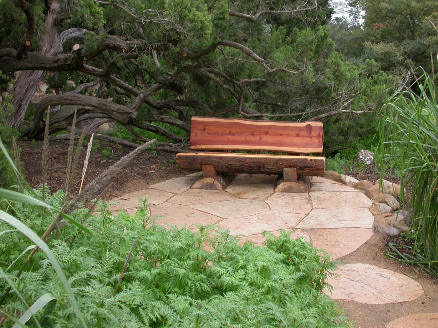 Thomas Holton Bench in Meadow
