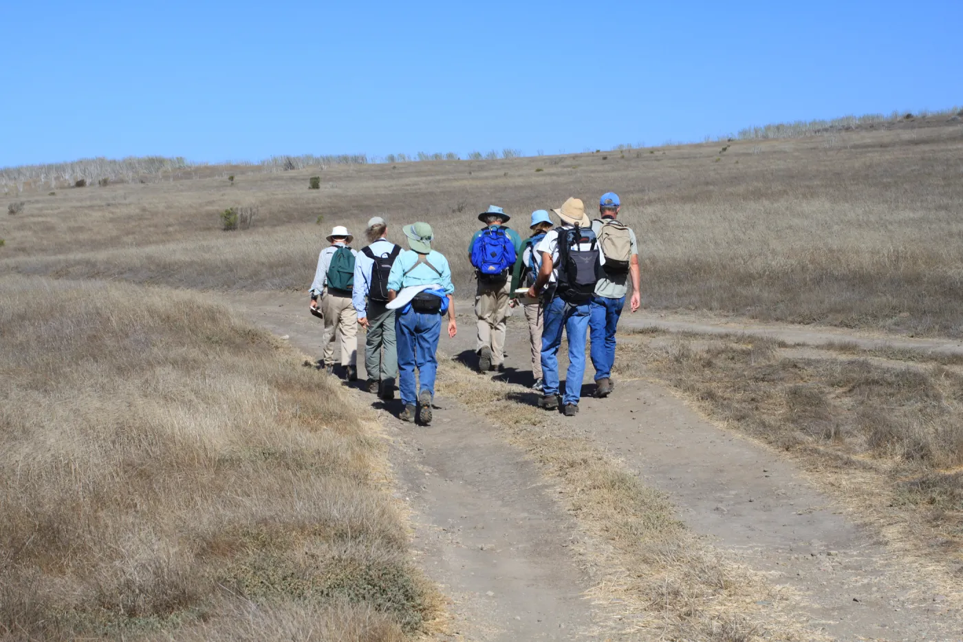 Santa Cruz Island field trip, 2009