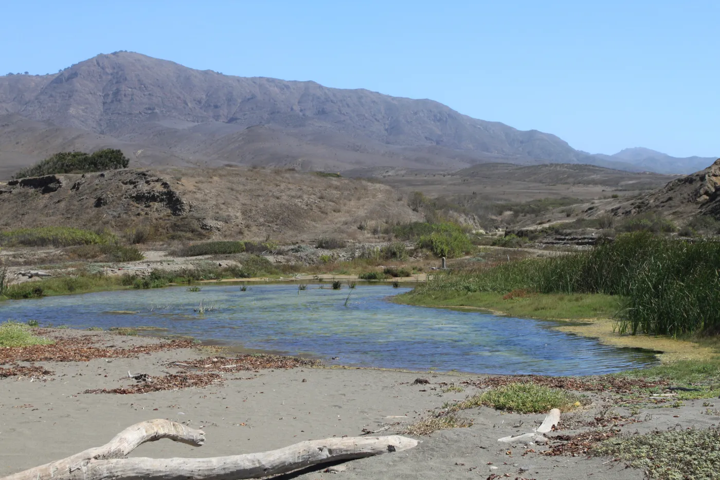 Santa Cruz Island field trip, 2009