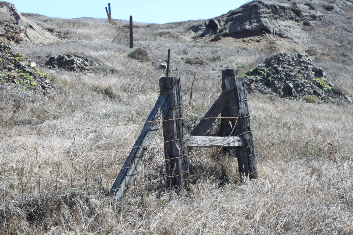 Santa Cruz Island field trip, 2009