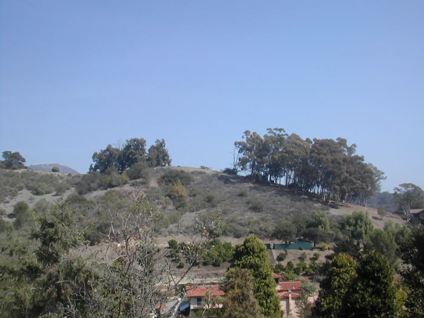 view of Tipton Ridge (RAWS site)
