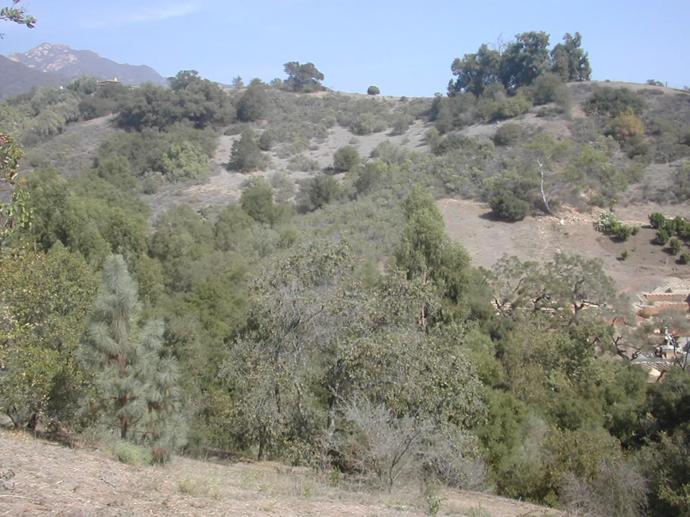 view of Tipton Ridge (RAWS site)