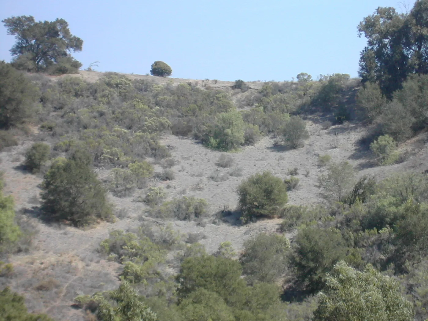 view of Tipton Ridge (RAWS site)