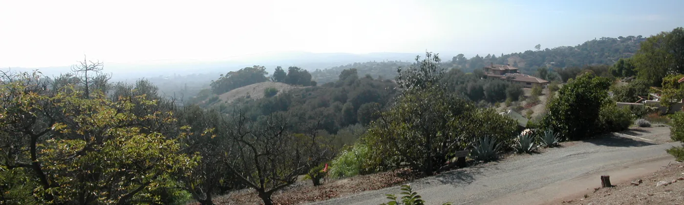 view of Tipton Ridge (RAWS site)