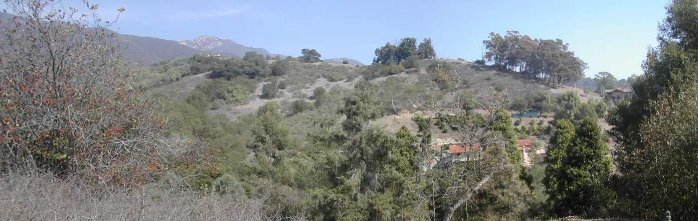 view of Tipton Ridge (RAWS site)