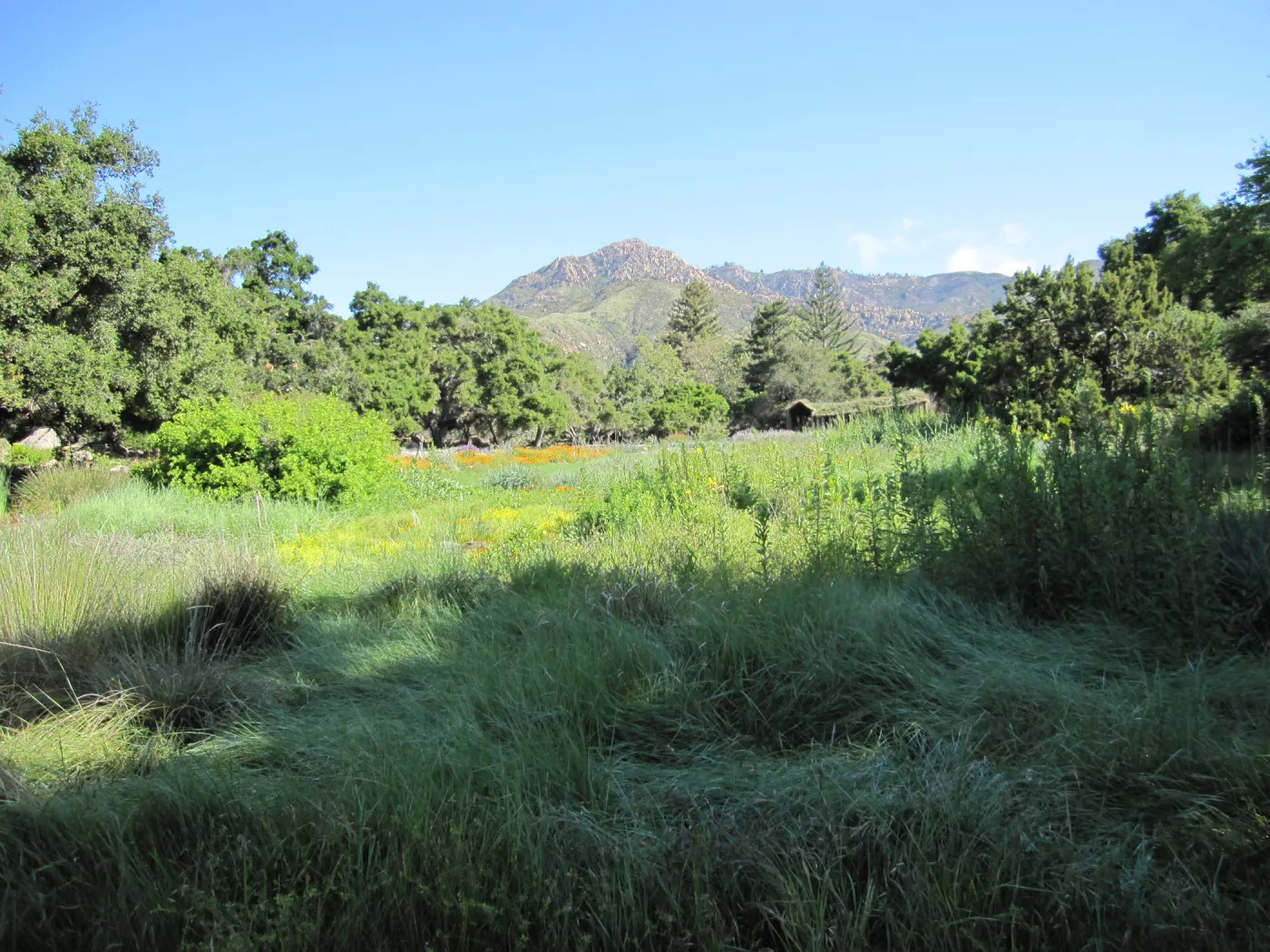 Haven, Herb Parker structure in the Meadow