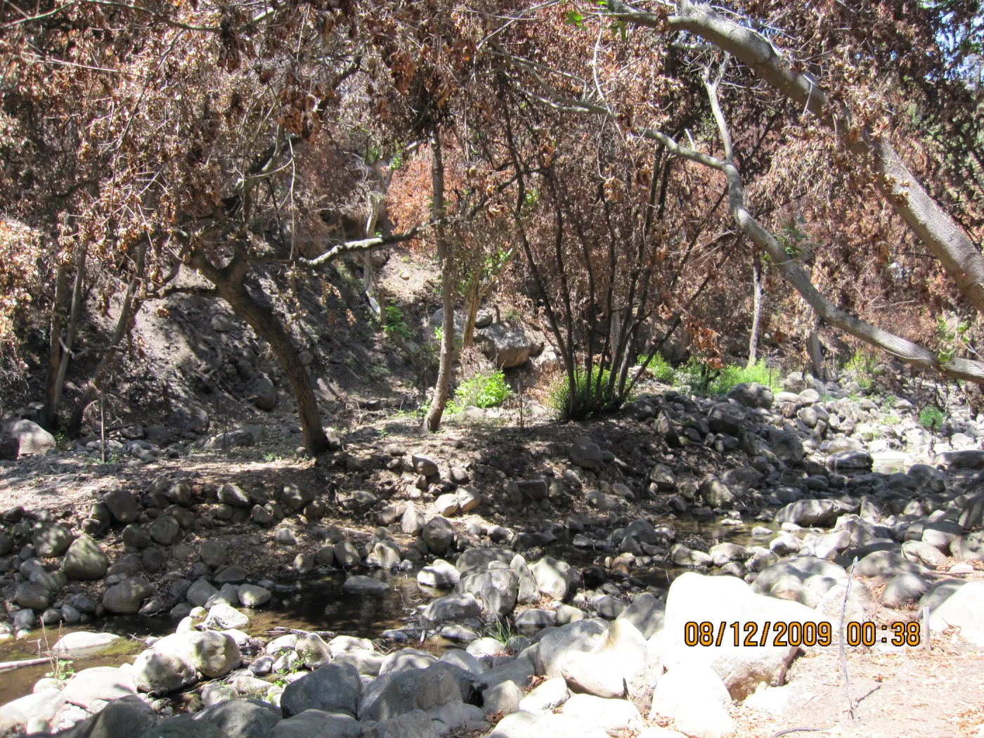Mission Creek after the Jesusita Fire