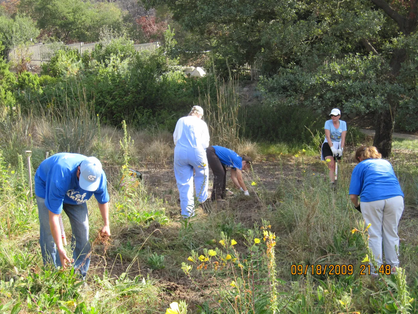 Day of Caring, volunteer activity