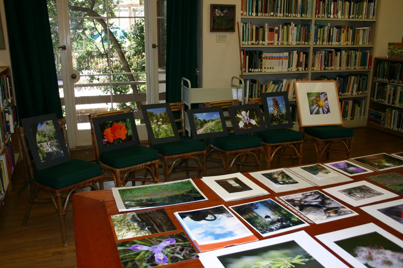 SCAPE Art Exhibit, judging in the Blaksley Library