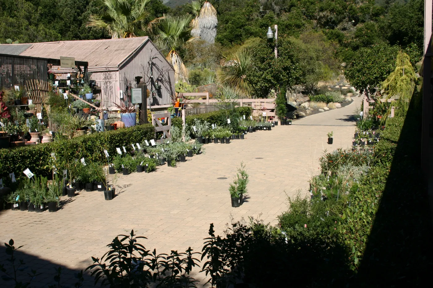 Courtyard, SBBG event location