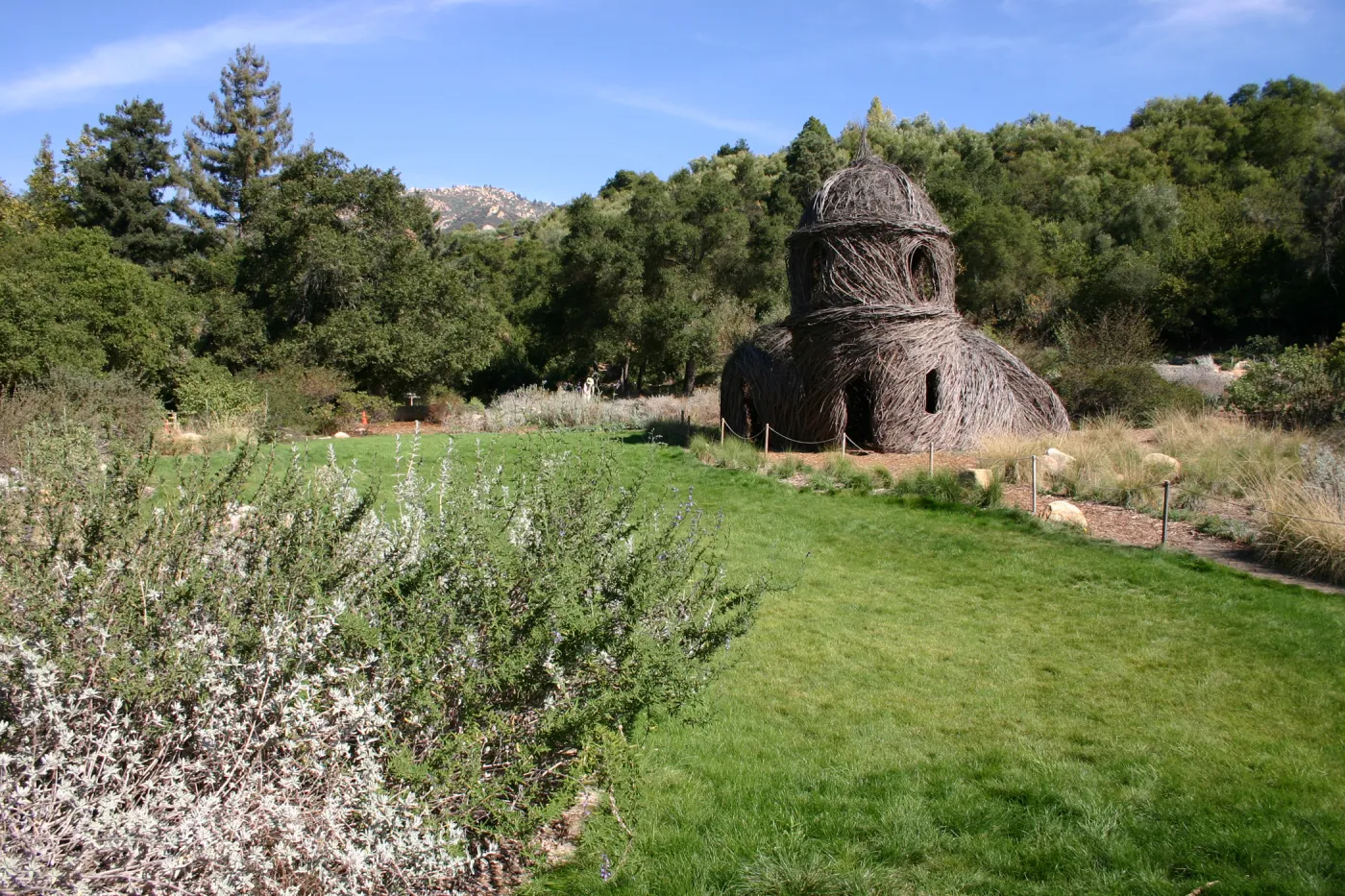 Meadow lawn, SBBG event location