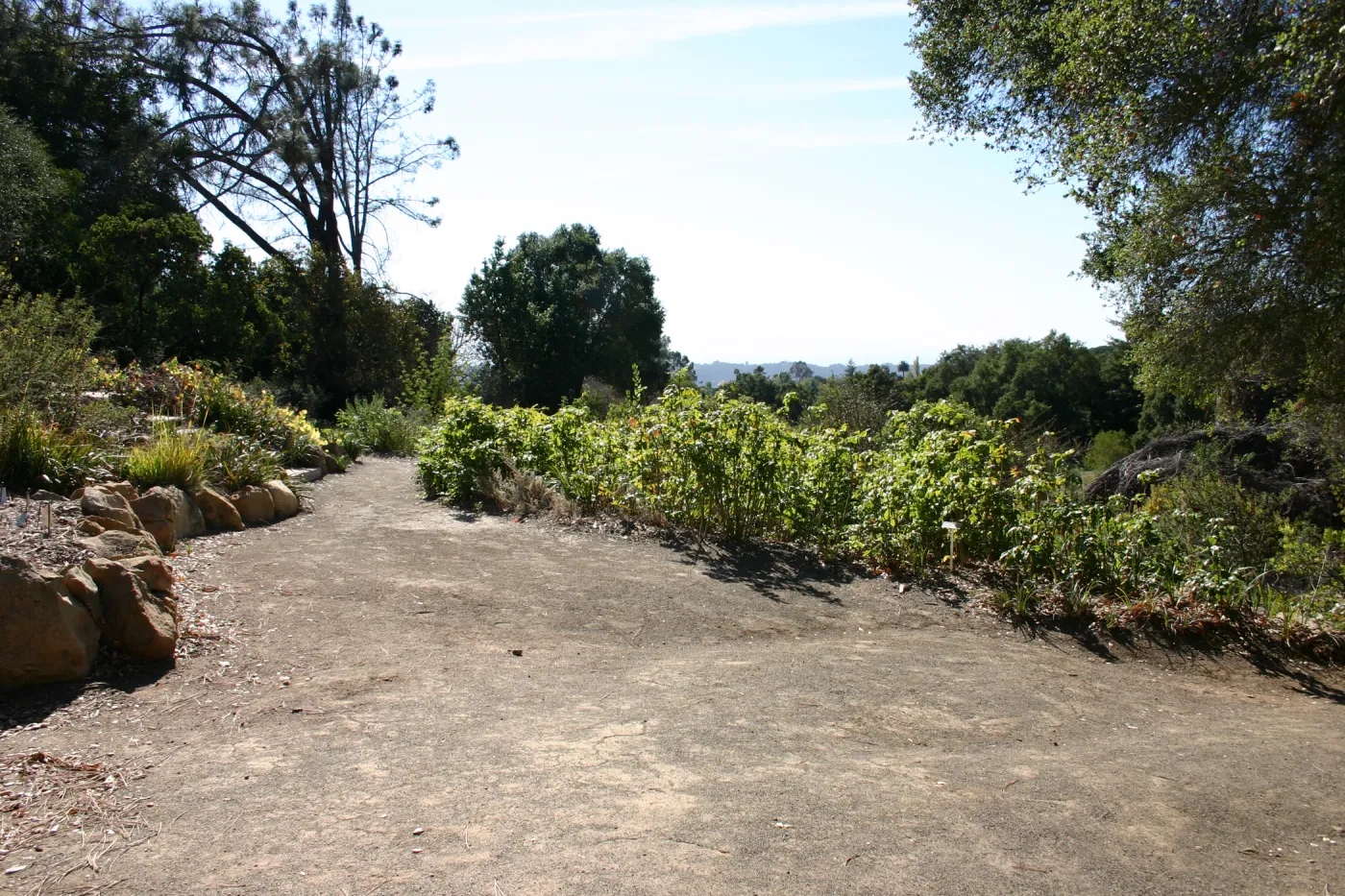 Meadow View gardens, SBBG event location