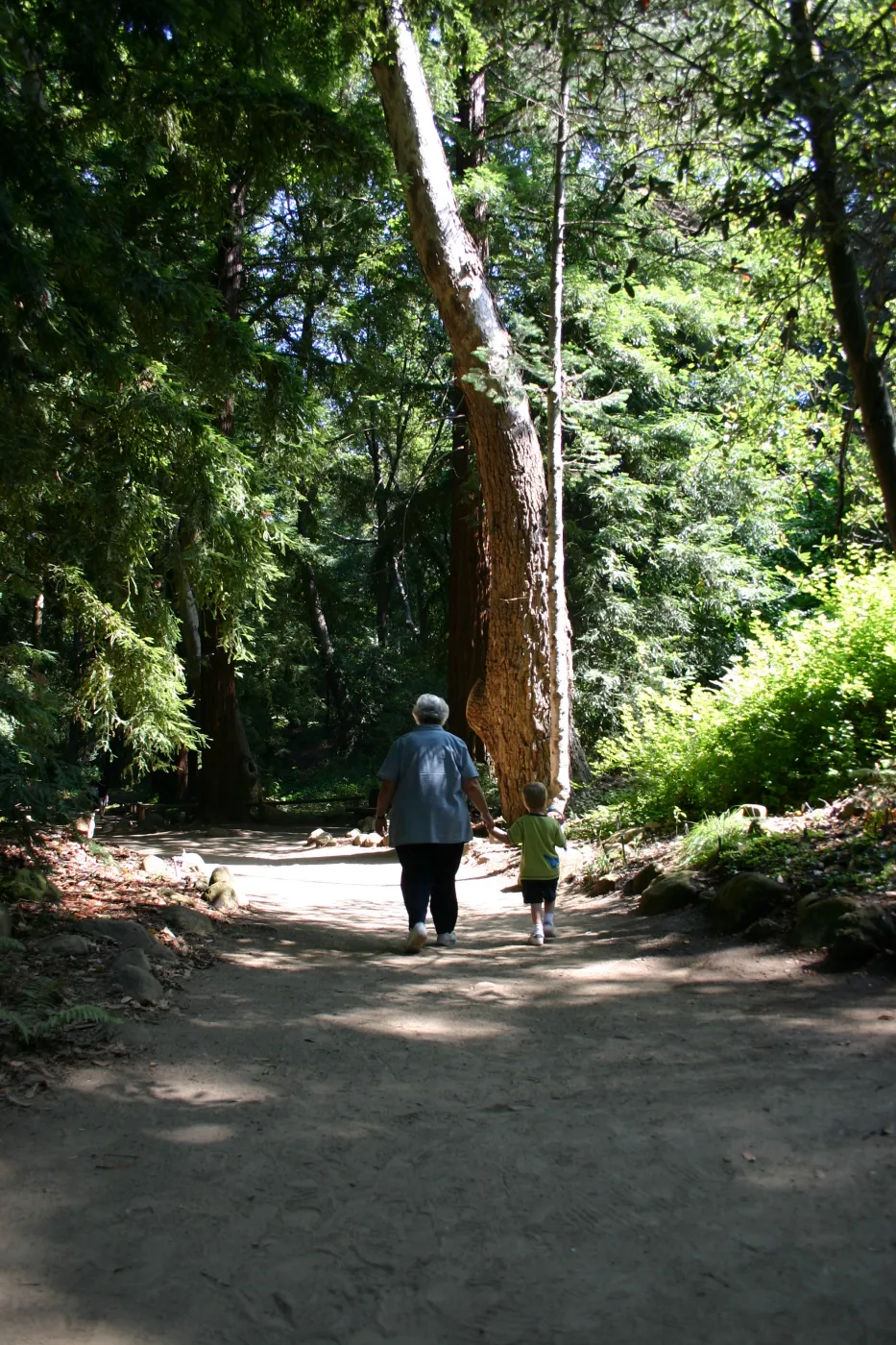 family in the garden, Redwoos Section