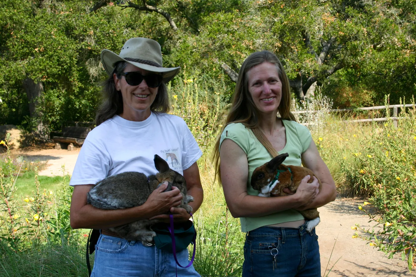 bunny agility presentation by BUNS at SBBG Nature Camp