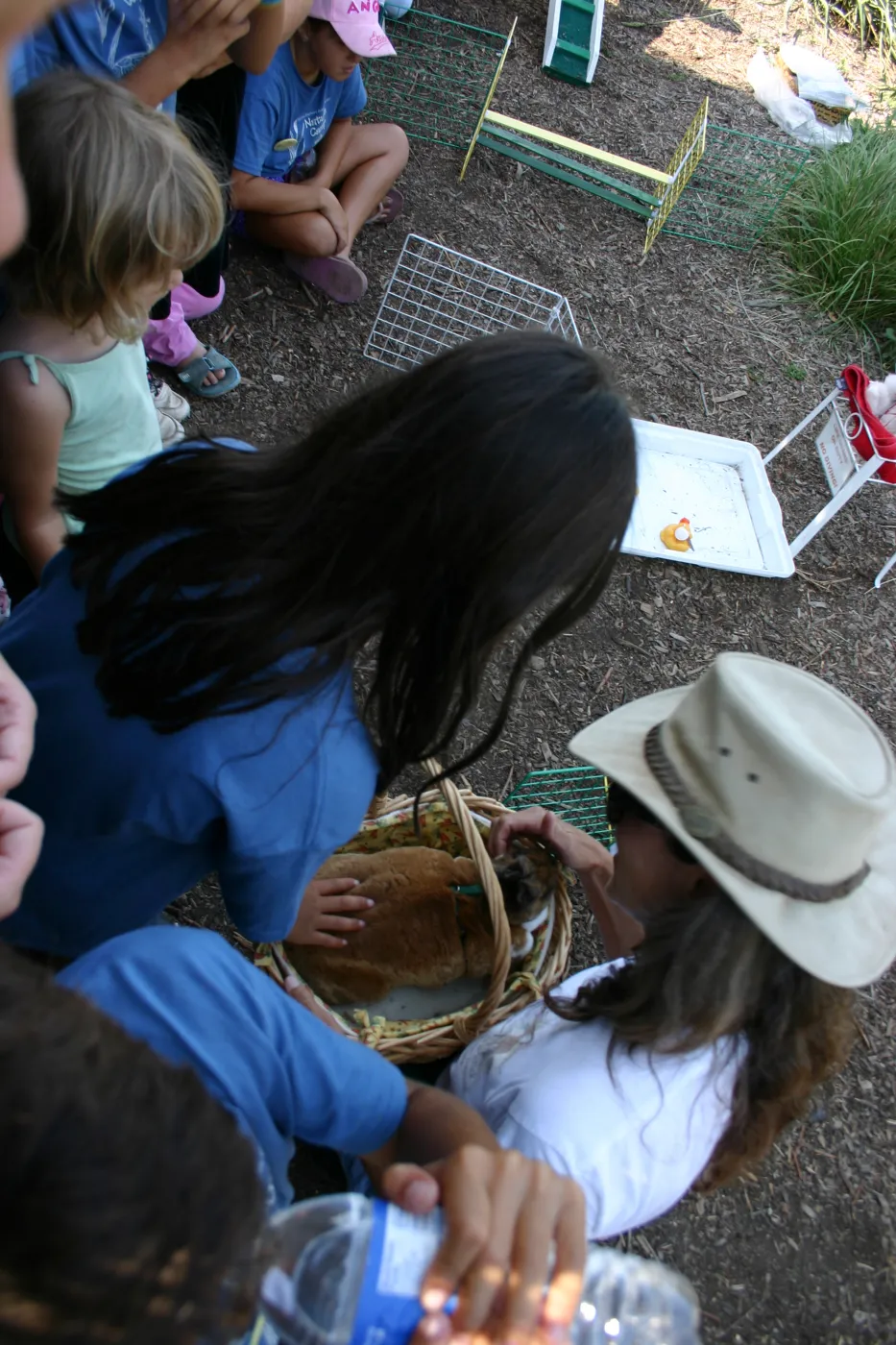 bunny agility presentation by BUNS at SBBG Nature Camp